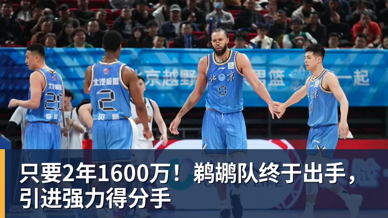 尊龙凯时只要2年1600万！鹈鹕队终于出手，引进强力得分手
