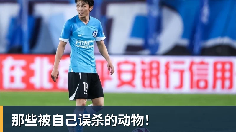 尊龙凯时那些被自己误杀的动物！